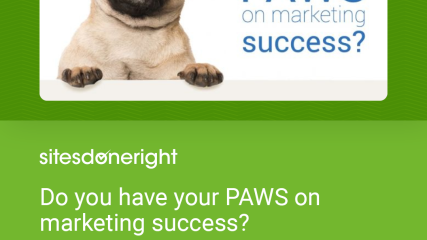 do-you-have-your-paws-on-marketing-success-square do-you-have-your-paws-on-marketing-success-square