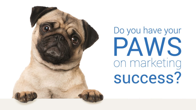 Do you have your PAWS on marketing success?